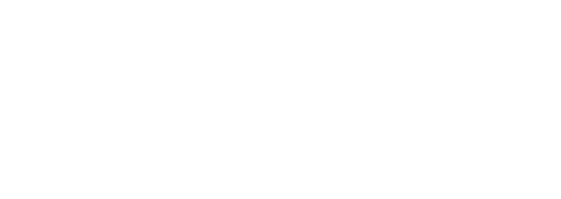 Consoli Private Jet Consoli Private Jet